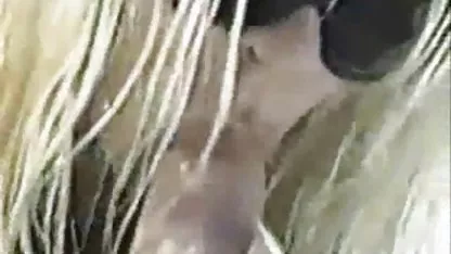 Gelembung titit bokep pantat