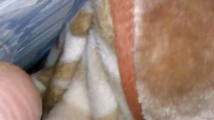 Putih Ibu rumah tangga, brazzer kontol gede penis hitam selera